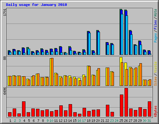 Daily usage for January 2010