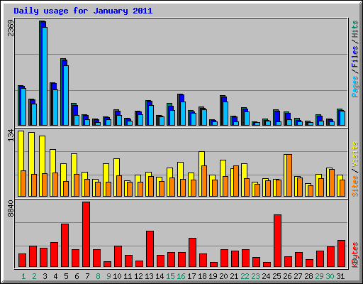 Daily usage for January 2011