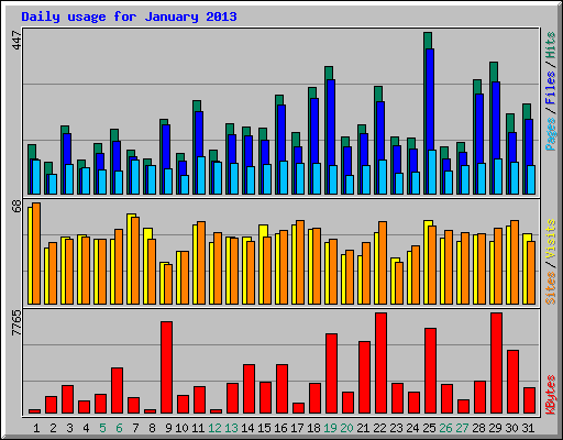 Daily usage for January 2013