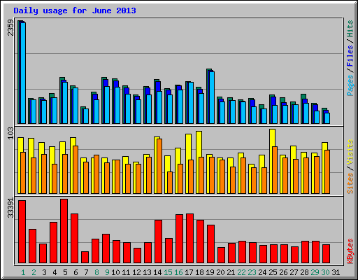 Daily usage for June 2013