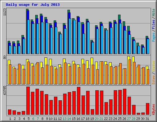 Daily usage for July 2013