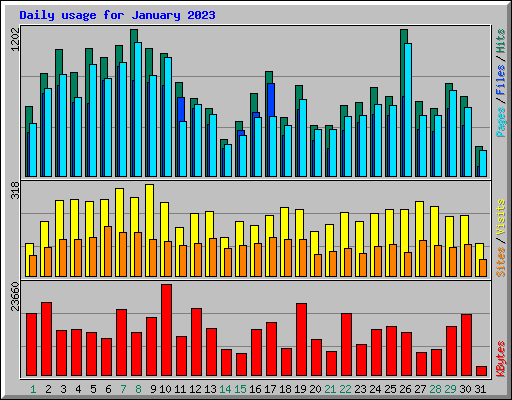 Daily usage for January 2023