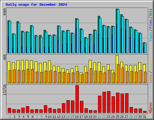 Daily usage for December 2024