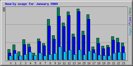 Hourly usage for January 2009