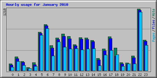 Hourly usage for January 2010