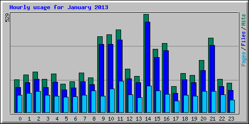 Hourly usage for January 2013