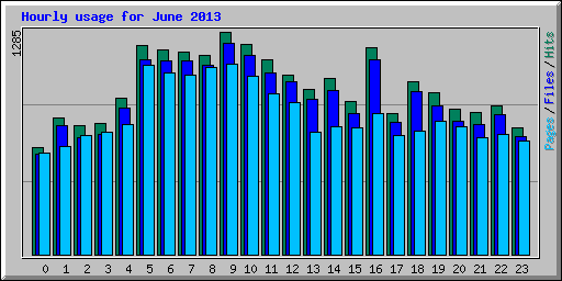 Hourly usage for June 2013