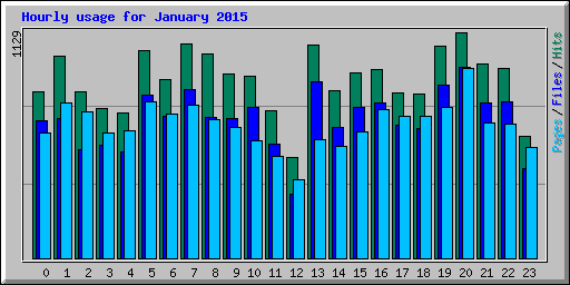 Hourly usage for January 2015
