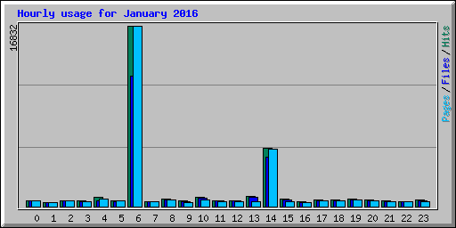 Hourly usage for January 2016