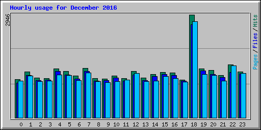 Hourly usage for December 2016