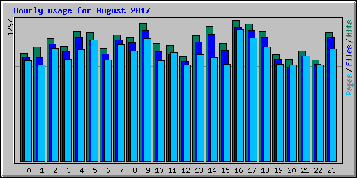 Hourly usage for August 2017