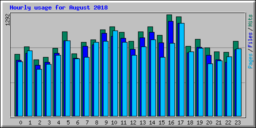 Hourly usage for August 2018