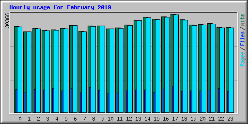 Hourly usage for February 2019