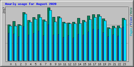 Hourly usage for August 2020