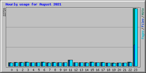 Hourly usage for August 2021