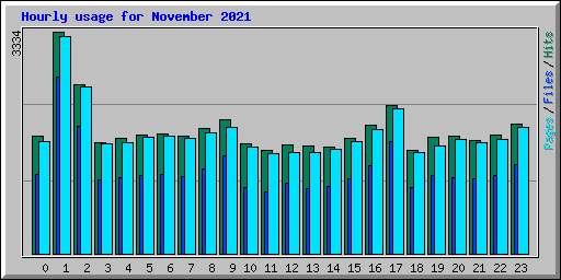 Hourly usage for November 2021