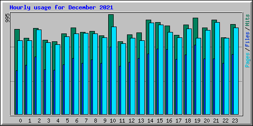 Hourly usage for December 2021