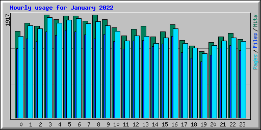 Hourly usage for January 2022