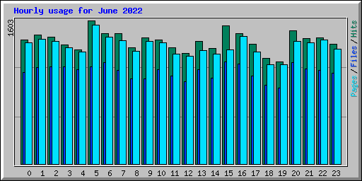 Hourly usage for June 2022
