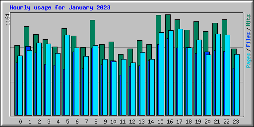 Hourly usage for January 2023