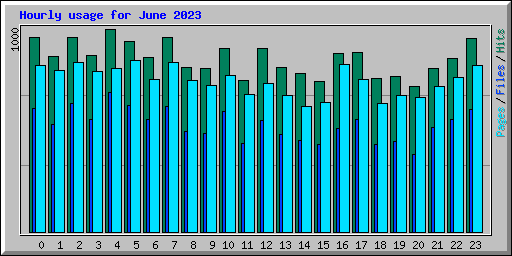 Hourly usage for June 2023