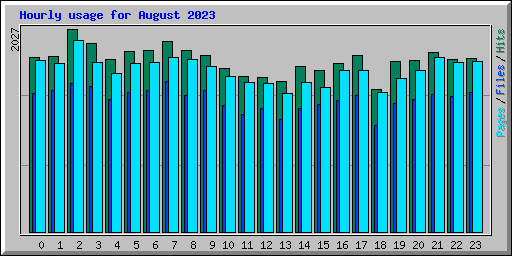 Hourly usage for August 2023