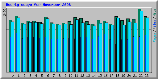 Hourly usage for November 2023