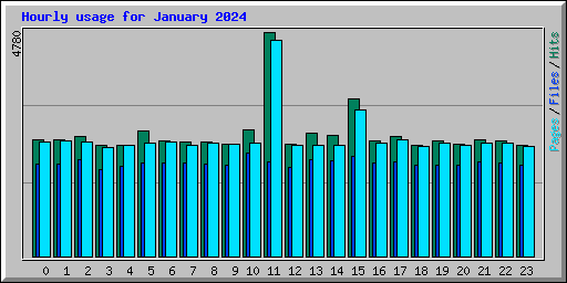 Hourly usage for January 2024