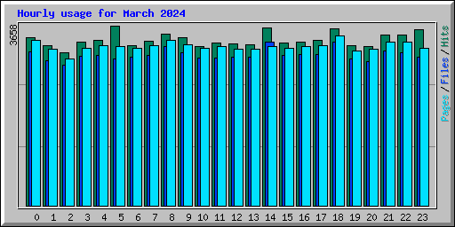 Hourly usage for March 2024