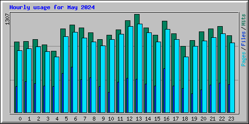 Hourly usage for May 2024