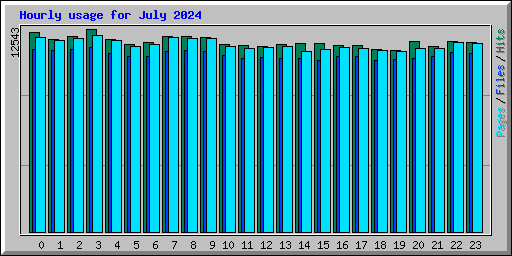 Hourly usage for July 2024