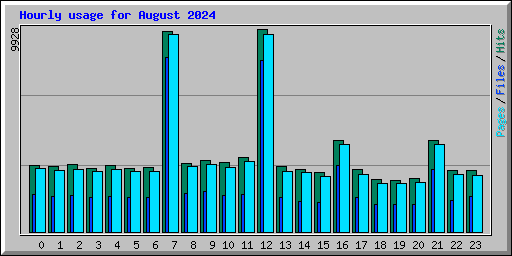 Hourly usage for August 2024