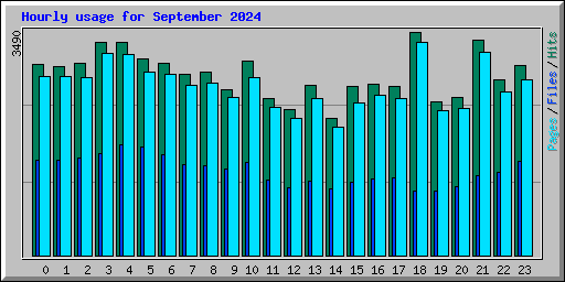 Hourly usage for September 2024