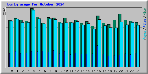 Hourly usage for October 2024