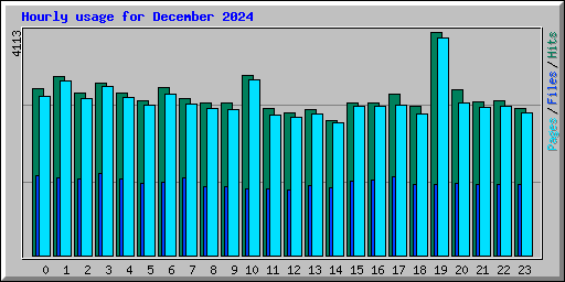 Hourly usage for December 2024