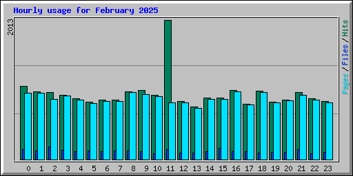 Hourly usage for February 2025