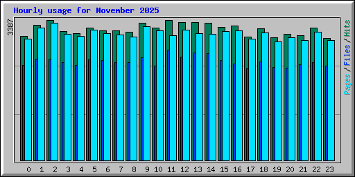 Hourly usage for November 2025