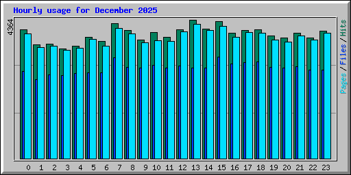 Hourly usage for December 2025