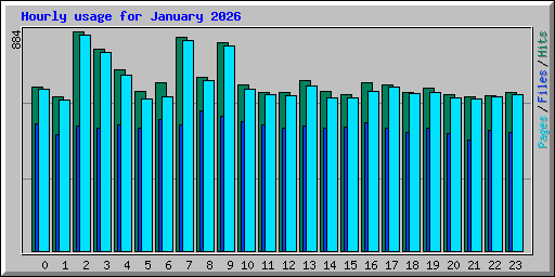 Hourly usage for January 2026